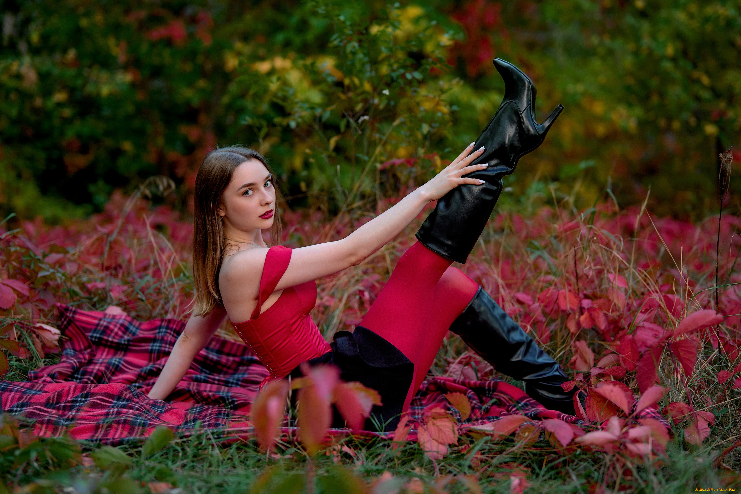 ����������� �������, �������, - ��������,  �������, �������, �������, �������, ������������, �����������, ������, ������, ��������, ������, �����, �������, ��������, ������, ������, �����������, �����, �����, ������, ��������, �����, ����������, ������, �, ���������, ���������, ��, ����������